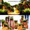 Tanque de Peces Acuario Paisajismo Plantas Acuáticas Bolas de Algas Marinas Bolas Ecológicas Bolas de Algas Verdes Paisajismo Botellas Ecológicas Bolas de Baño Verdes Bolas de Algas Marinas