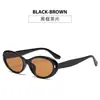 2025 Nueva Moda Otoño e Invierno Ankora Rojo Ojo de Gato Crema de Coco Espejos de Coco Cara Cuadrada Adelgazantes Gafas de Sol Gafas de Sol