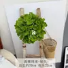 Flores Artificiais de Hortênsia para Casamento, 136 Peças, Flores Falsas de Hortênsia Luna para Decoração de Casamento, Arranjo de Corredor e Arranjos Florais