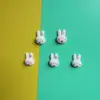 Conejo Miffy de Dibujos Animados con Gafas DIY Pinzas para el Cabello Gomas para el Cabello Accesorios Charms para Zapatos de Madera Taza de Agua Materiales de Pegamento en Crema Accesorios