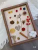 Paquete de materiales DIY hecho a mano flores mixtas plantas flores secas estilo bosque de jardín de infantes creación de anillos decoración piñas de Navidad