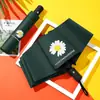 Paraguas de Vinilo Negro Automático UV Paraguas para Día Soleado y Lluvioso Protección Solar Sombrilla Paraguas de Regalo Publicitario Coreano Se Puede Imprimir Logo
