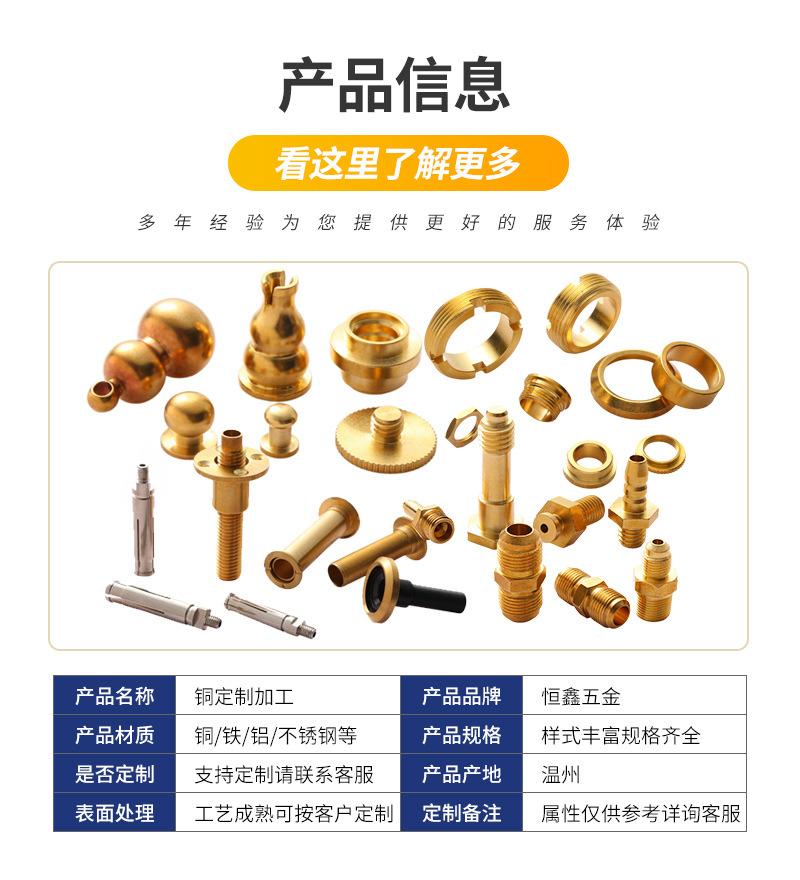 恒欣非标内页_10