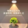 Carga por inducción magnética colina corrugada focos pequeños un control multi-lámpara luz de ambiente luces de sombra y luz rejilla para vitrina de vino