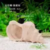 Casa de Champiñón Caracola Escondite Adorno para Acuario Decoración de Acuario Artesanías de Cerámica Escondite para Peces y Camarones
