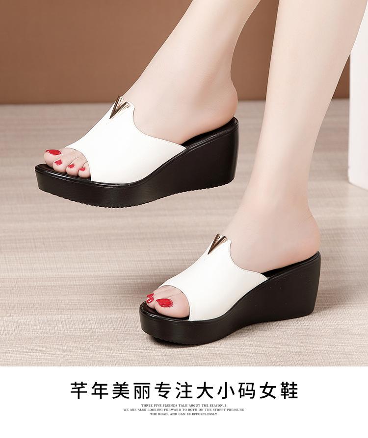 红_16.jpg