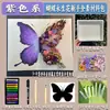 Dia da Mulher Presente de Aniversário Porta-Retrato com Flor Seca Borboleta Kit de Materiais Artesanais DIY Borboleta Pintura a Óleo Flor Eterna 38