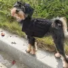 Nuevo suéter casual de punto trenzado de color liso para otoño e invierno para perro, moda, cómodo, ropa para mascotas, ropa cálida en stock