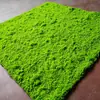 Grama Artificial com Flocagem Pedra Gramado Musgo Pedra Bonsai Planta Musgo