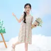Vestido para Niñas, Vestido de Verano de Seda Helada, Elegante Vestido de Princesa Floral para Niñas Pequeñas, Vestido Infantil de Mangas Abullonadas, Vestido de Estudiante