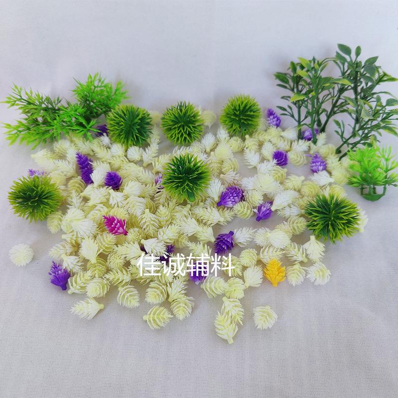 椰树-花.jpg
