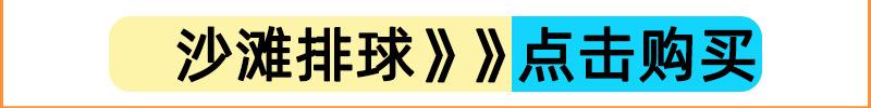 沙滩排球.png1