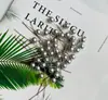 Envío Gratis 30 Piñas Flores Secas Decorativas Hecho a Mano Paquete de Materiales Creativos DIY Decoración del Hogar Ramas Secas Piñas Escama de Pez