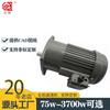 Motorreductor vertical GV de par grande monofásico trifásico de Máquina del Norte 75W-3700W puede elegir