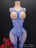 Lingerie Sexy Europeia e Americana Nova Comércio Exterior Peito Vazado Sexy Macacão de Malha Jacquard com Abertura na Virilha Halter Transfronteiriço Item Quente