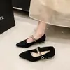 Sapatos femininos versáteis de bico fino para primavera e outono, com strass, estilo Mary Jane, novo salto grosso, sapatos de salto baixo para mulheres 2026