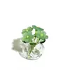 Zibo Cristal Mini Flor Punta del Dedo Pájaro Ramo Adorno de Cristal Regalo Nicho Flor Eterna Decoración de Escritorio Cristal