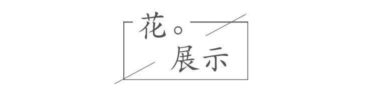 10774723948_1954662215