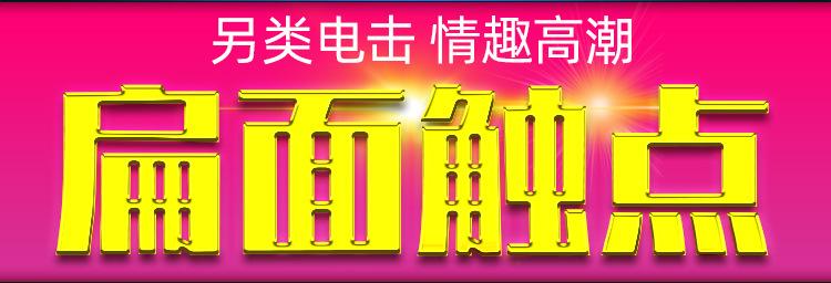 电击笔1_07.jpg