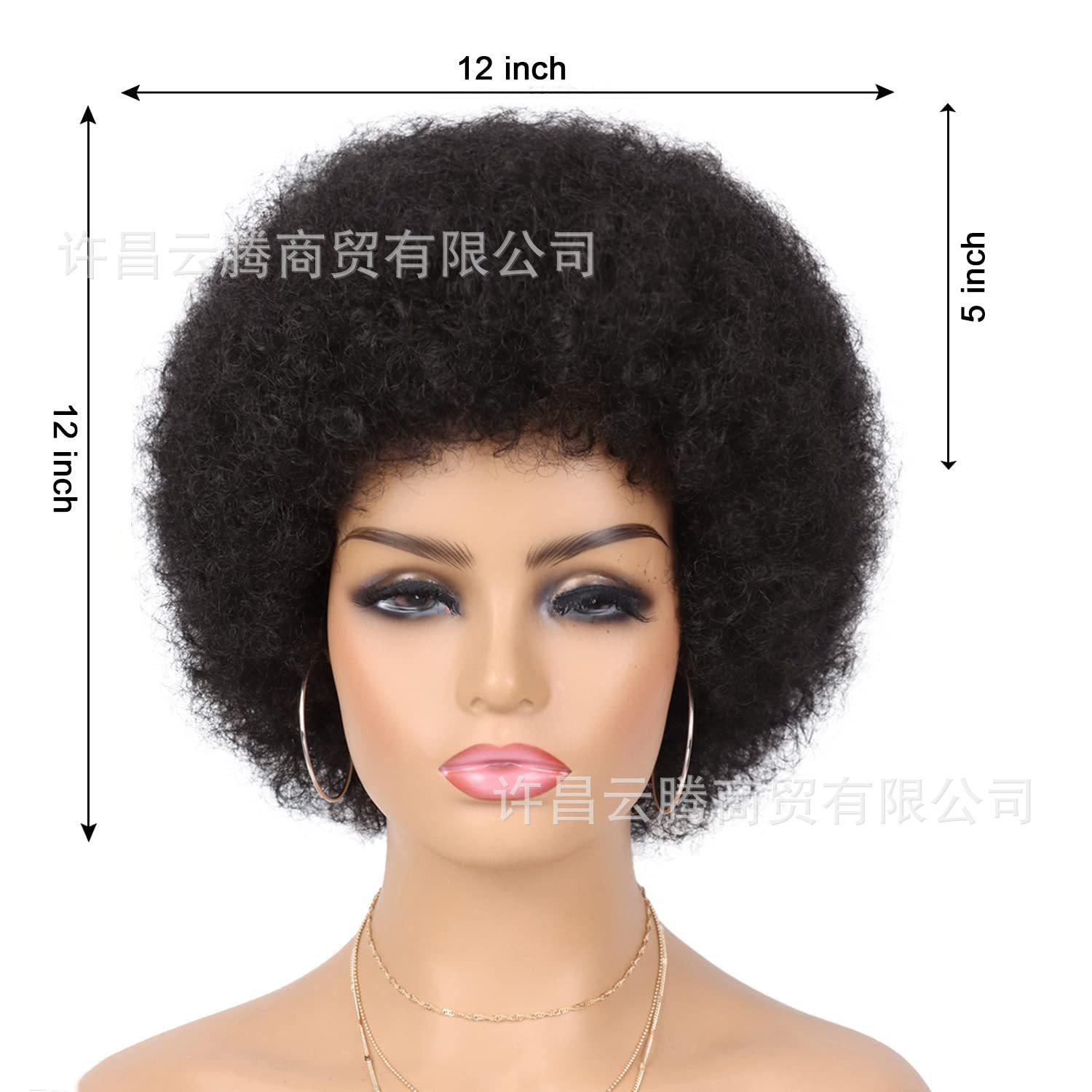 61zTCKw0x-L._SL1500_