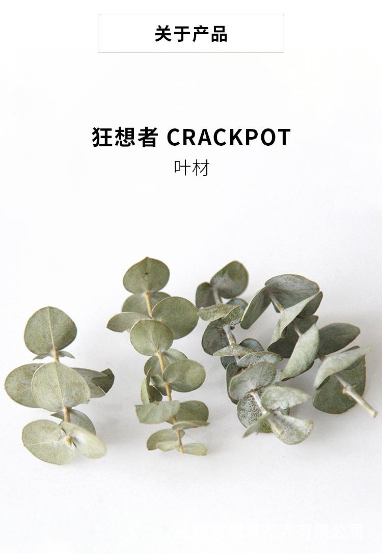 中文_04
