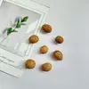 Pendientes de Planta Fruta Bellota Hechos a Mano DIY Fruta Pendientes Personalizados Creativos Material Chica Linda Pendientes Retro