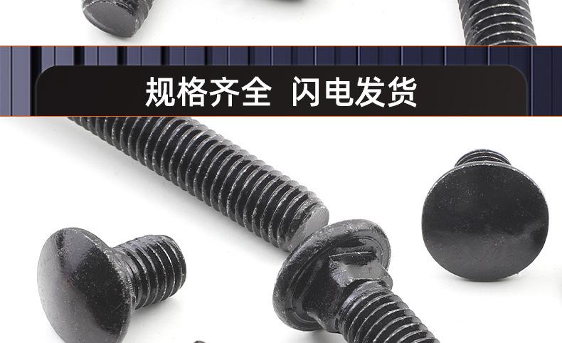 黑色304不锈钢马车螺栓_03_19.jpg