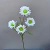 Arreglo floral de piso para boda con flores falsas, ramo falso de loto con rocío de rosa, arreglo floral terminado, flores artificiales, nuevo ramo falso que se puede enviar en nombre de otros.