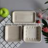 Bandeja Quadrada Descartável Salada Sushi Prato de Papel Frutas e Vegetais Polpa de Cana-de-Açúcar Vegetal Ecológico Biodegradável Piquenique