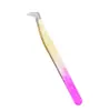 Set de Pinzas para Pestañas para Colocación de Pestañas Postizas, Herramientas para Artista de Pestañas, Pinza para Pestañas Dorada con Forma de Delfín y Pluma