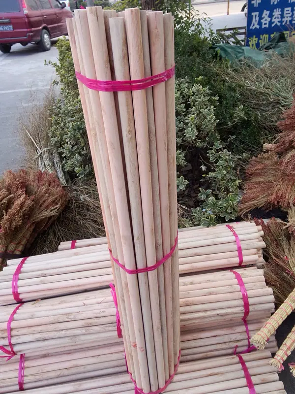 拖把杆4