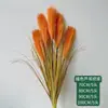 Buquê de Grama Rabo de Raposa Artificial, Buquê de Grama Dia Ensolarado, Capim dos Pântanos, Flores Artificiais, Decoração de Casa, Grama Cebola, Plantas Verdes para Paisagismo