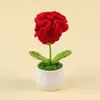Ramo artificial de Clavel tejido a crochet de lana transfronterizo terminado, maceta, regalo para el Día de la Madre, Día del Maestro, pequeños adornos para el hogar