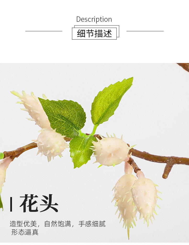 中枝橄榄果详情图