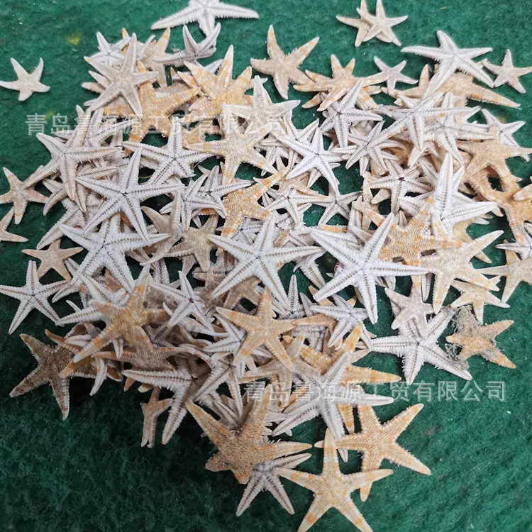 海星3
