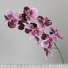 Orquídea Phalaenopsis Impressa em 3D 9 Flores Borracha Macia Flor de Simulação Materiais para Guia de Flores Arranjo de Flores Decoração de Casamento Arranjo Fundo de Arte Floral Flores Artificiais