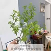 Folhas Artificiais Verdes Estilo Floresta, Paisagismo de Casamento, Decoração para Arranjo de Flores, Cenário para Fotos, Plantas Verdes para Sala de Estar, Flores Artificiais Atacado