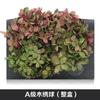 Hortensia de madera con degradado de color, flor eterna, rosa eterna, caja de regalo, material floral, flor seca, flor de preservación, material floral eterno