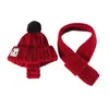 Gorro Tejido de Gato y Perro, Lindo Gorro para Mascota, Caliente Gorro de Invierno para Mascota que Cubre las Orejas