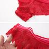 Explosões Europeias e Americanas Calcinhas Femininas Renda Vazada Cintura Média Respirável Sem Marcas Algodão Puro Renda Interna Lingerie Brasileira