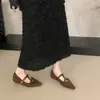 Zapatos Mary Jane de tacón alto estilo retro con estampado de leopardo para mujer, nuevo modelo otoño 2026, adecuados para combinar con faldas, zapatos de vestir elegantes estilo coreano