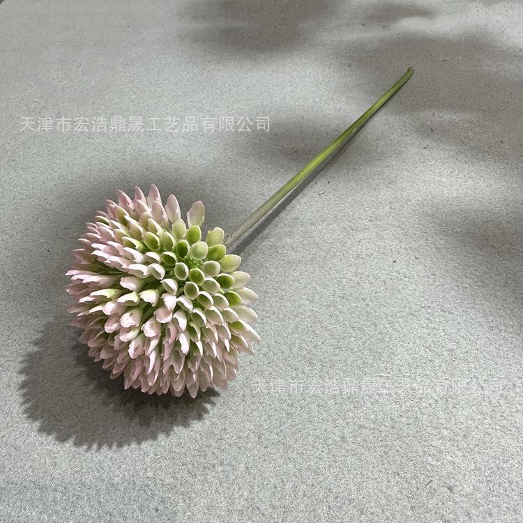微信图片_202302241649148_副本