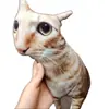Almohada de Gato Feo Personalizada con Impresión de Foto, Directo del Fabricante, Almohada para Mascotas al por Mayor, Cojín de Gato y Perro Realista Personalización