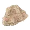 Chapéu de Tricô Novo de Pelo de Coelho Rex Real para Outono e Inverno, Versátil, Cabeça de Tigre, Leão, Rosto Peludo Quente, Menina