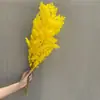 Flor Eterna Esponjosa Hecha a Mano DIY Haciendo Material de Flor Suministros para Bodas Festivales Diseño de Escena Material de Flor Personalizado Venta al por Mayor
