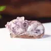 Companhia Decorativa para Escritório de Filhote Transfronteiriço, Resina de Cristal com Preenchimento de Cristal em Posição de Dormir, Olho de Tigre Natural Quente para Entrada