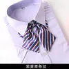 Gravata Borboleta Listrada Decoração Roupa de Negócios Feminina Banco Hotel Roupas de Trabalho Colarinho de Trabalho Flor Estilo Preppy Laço Negócios