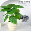 Lujo Ligero Estilo Escandinavo Planta Potos Simulada Bonsái Flores Artificiales Adornos Hoja de Tortuga Maceta Mesa Decoraciones de Flores Falsas