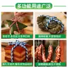 Fio para Zongzi, Fio Especial para Envolver Zongzi, Linguiças, Caranguejos, Carne Curada, Corda de Grau Alimentício, Fio de Algodão, Corda de Algodão para Amarrar Zongzi