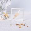 Qianfan Source Factory Real Inseto Espécime Resina Gota Cola Brinquedo Aranha Escorpião Pesquisa Infantil Presente Enfeites